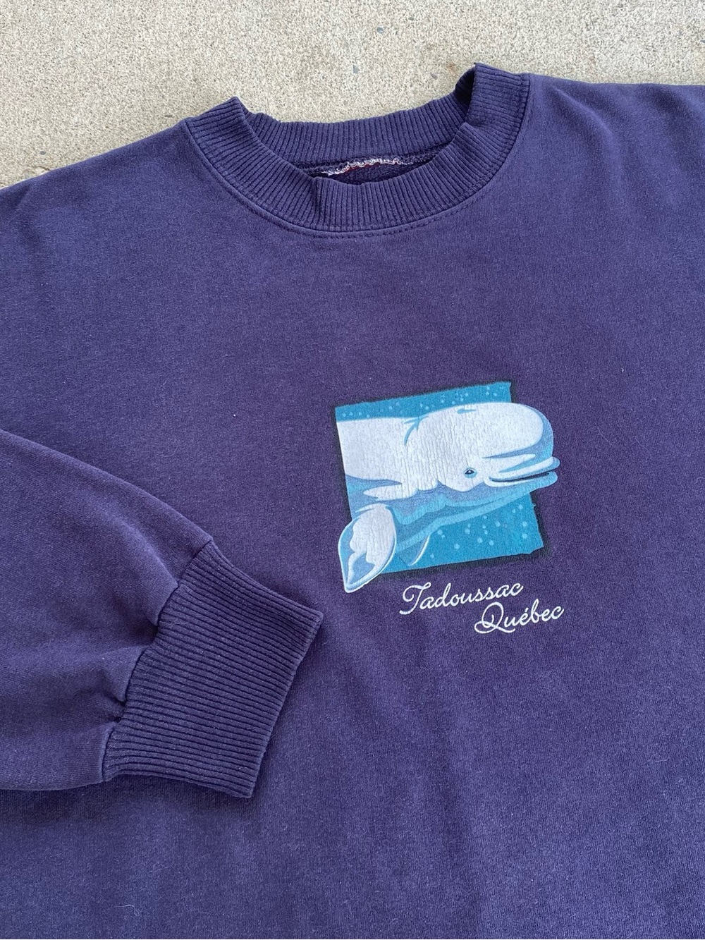 Vintage 90s Tadoussac Quebec Whale Crewneck